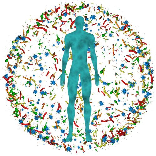 microbiome